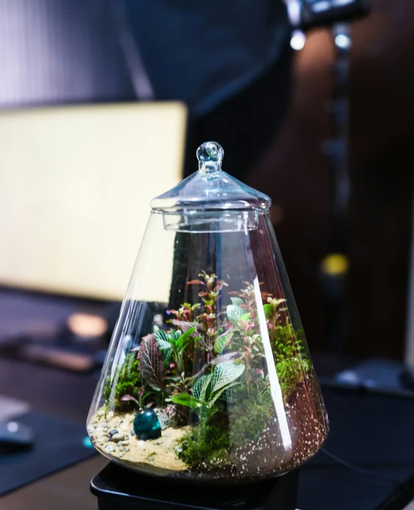 How to Make a Closed Terrarium for Beginners